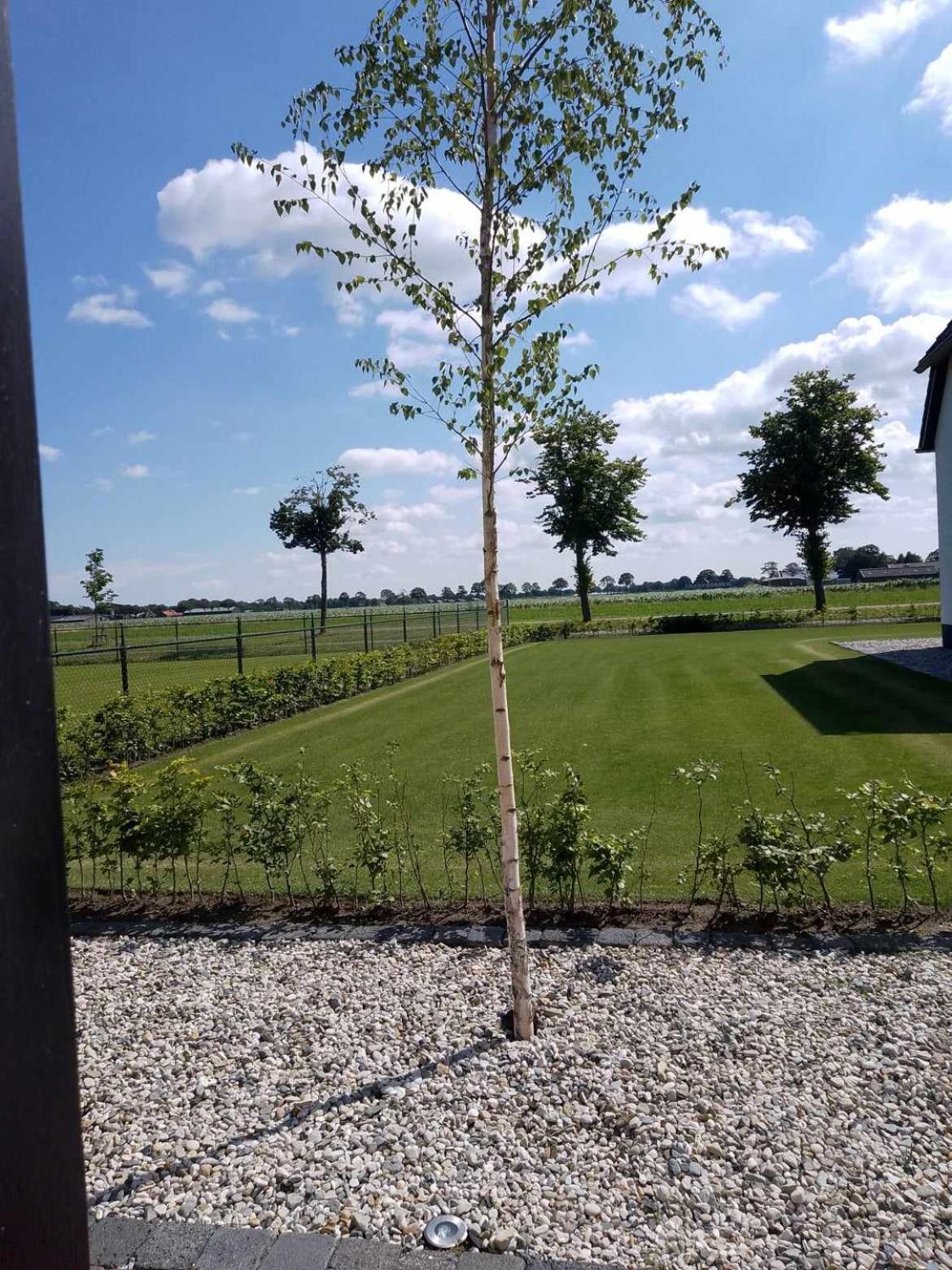 Ut Witte Huisje Venhorst Exteriör bild