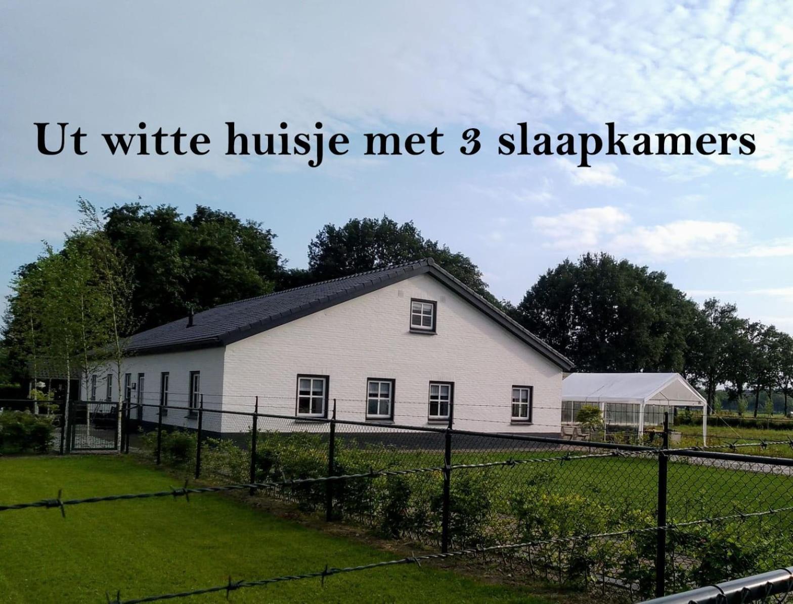 Ut Witte Huisje Venhorst Exteriör bild