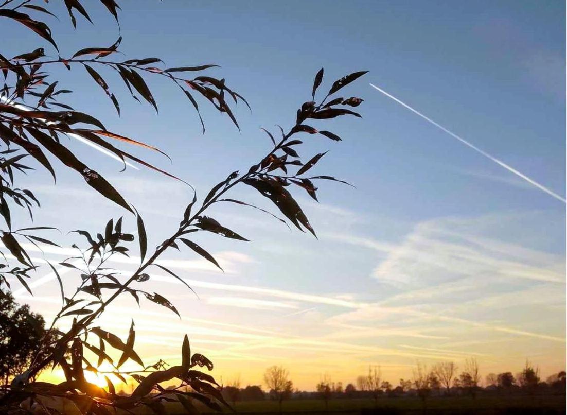 Ut Witte Huisje Venhorst Exteriör bild