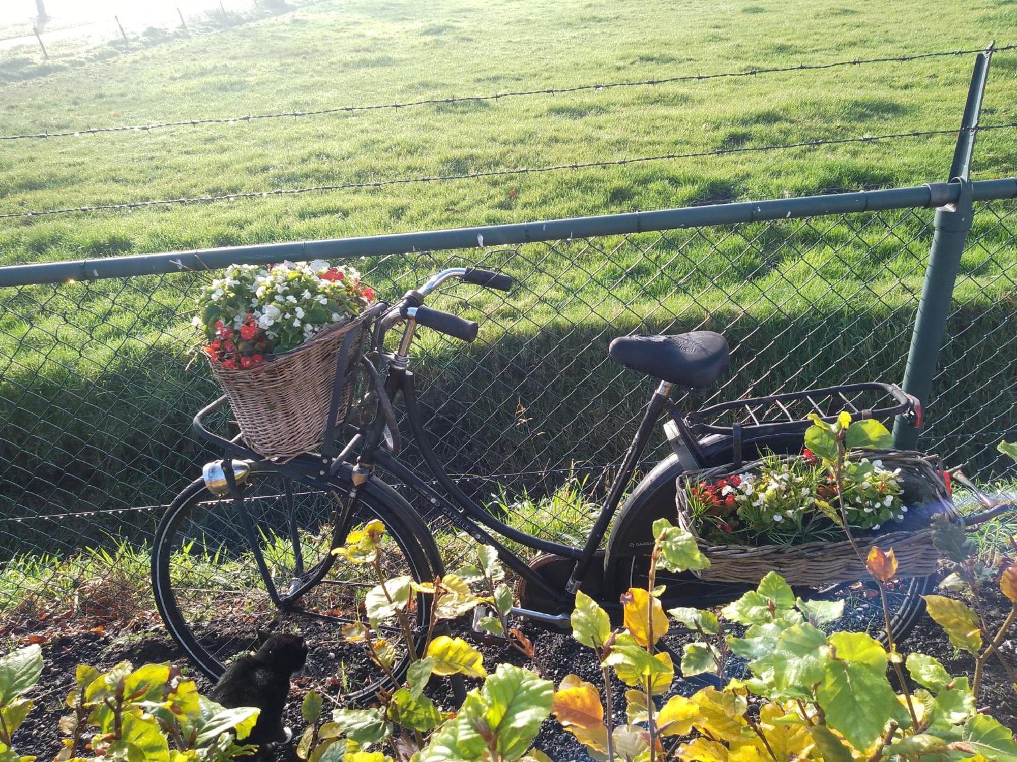 Ut Witte Huisje Venhorst Exteriör bild